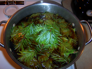 Chaga Spruce Tea