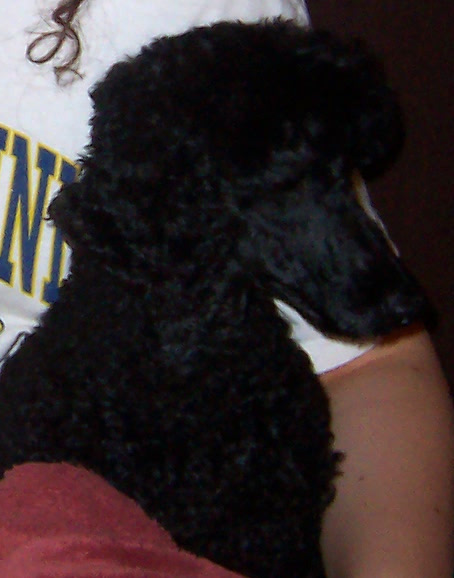 A Parable for Earth Day